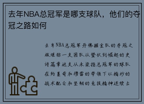 去年NBA总冠军是哪支球队，他们的夺冠之路如何